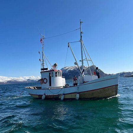 Maribell Sjobuer As Leilighet Tromsø Eksteriør bilde